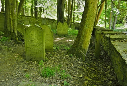 Židovský hřbitov Podbřezí_57