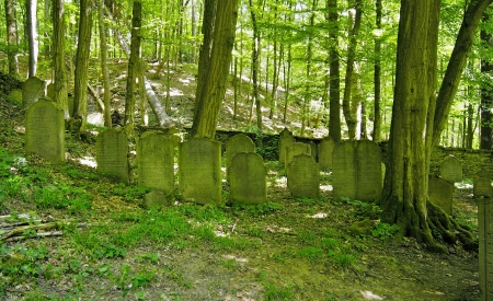 Židovský hřbitov Podbřezí_58