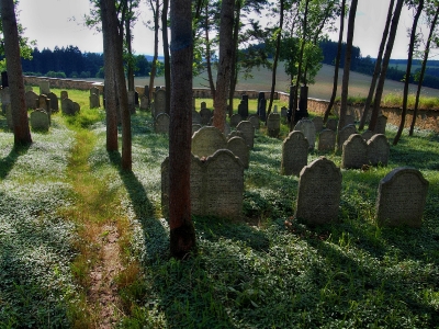 Židovský hřbitov Prostiboř_16