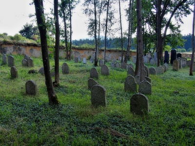 Židovský hřbitov Prostiboř_19