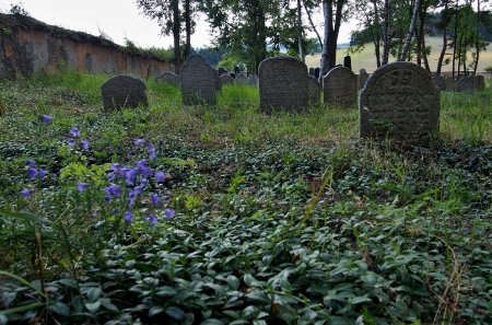 Židovský hřbitov Prostiboř_21