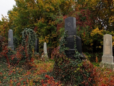 Židovský hřbitov Prostějov_17