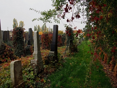 Židovský hřbitov Prostějov_19