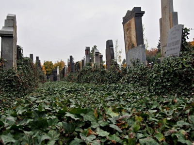 Židovský hřbitov Prostějov_20
