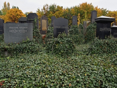 Židovský hřbitov Prostějov_22