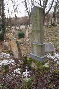 Židovský hřbitov Slavkov u Brna _13