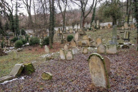 Židovský hřbitov Slavkov u Brna _17