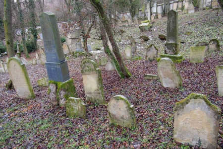 Židovský hřbitov Slavkov u Brna _19
