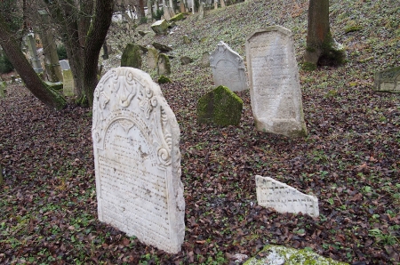 Židovský hřbitov Slavkov u Brna _28