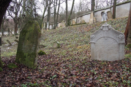 Židovský hřbitov Slavkov u Brna _31