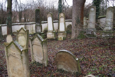 Židovský hřbitov Slavkov u Brna _37