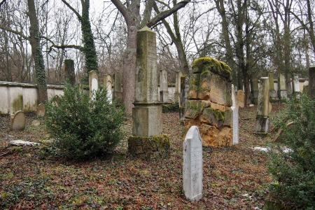 Židovský hřbitov Slavkov u Brna _43