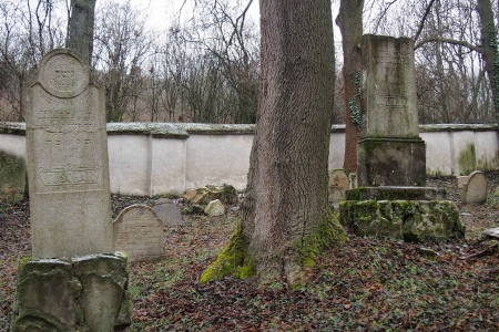 Židovský hřbitov Slavkov u Brna _44