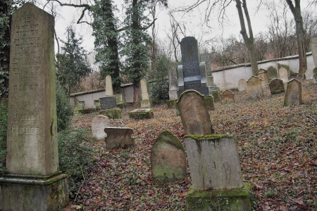 Židovský hřbitov Slavkov u Brna _56