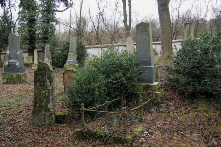 Židovský hřbitov Slavkov u Brna _58