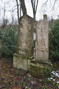 Židovský hřbitov Slavkov u Brna _59
