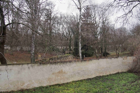 Židovský hřbitov Slavkov u Brna _63