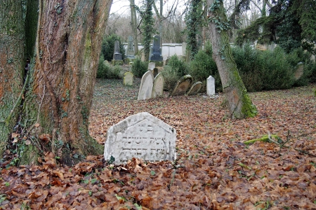 Židovský hřbitov Slavkov u Brna _65