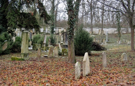 Židovský hřbitov Slavkov u Brna _66