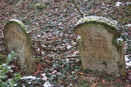 Židovský hřbitov Slavkov u Brna _69