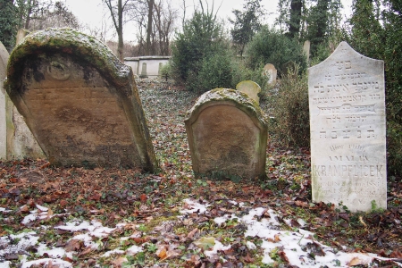 Židovský hřbitov Slavkov u Brna _71