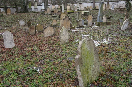 Židovský hřbitov Slavkov u Brna _79