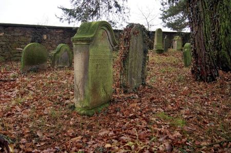Židovský hřbitov Trhový Štěpánov_42