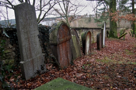Židovský hřbitov Trhový Štěpánov_46