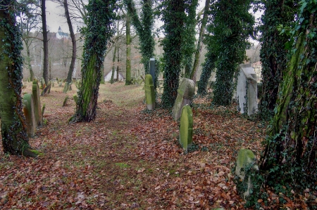 Židovský hřbitov Trhový Štěpánov_69