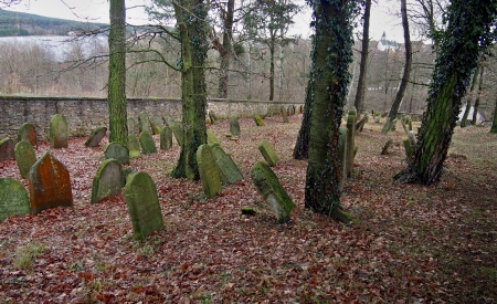 Židovský hřbitov Trhový Štěpánov_70