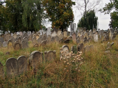 Židovský hřbitov Úsov_48