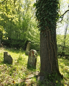 Židovský hřbitov v Brumově_19