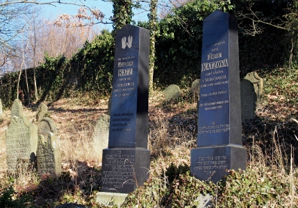 Židovský hřbitov v Kosově Hoře_91