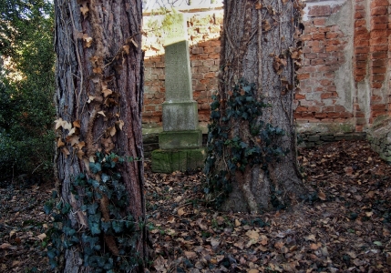 Židovský hřbitov Vyškov_1