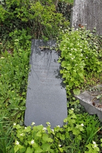Židovský hřbitov Zájezdec_52