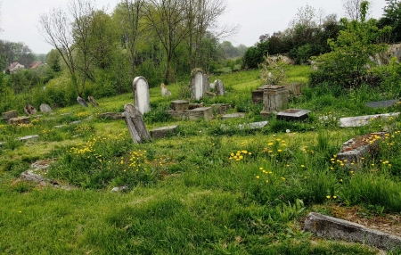 Židovský hřbitov Zájezdec_65