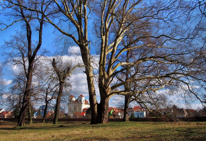 Zámek a park Veselí nad Moravou_35