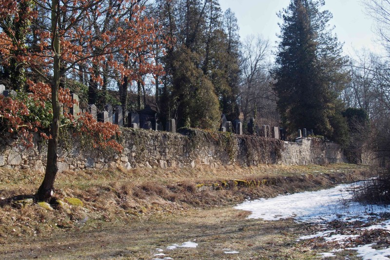 Židovský hřbitov v Kosově Hoře_3
