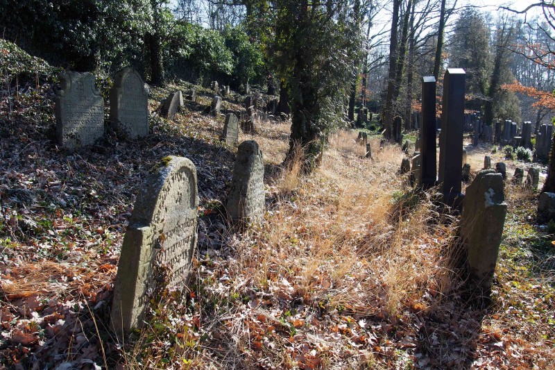 Židovský hřbitov v Kosově Hoře_16