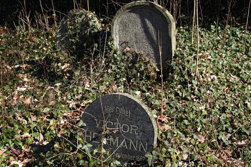 Židovský hřbitov v Kosově Hoře_61