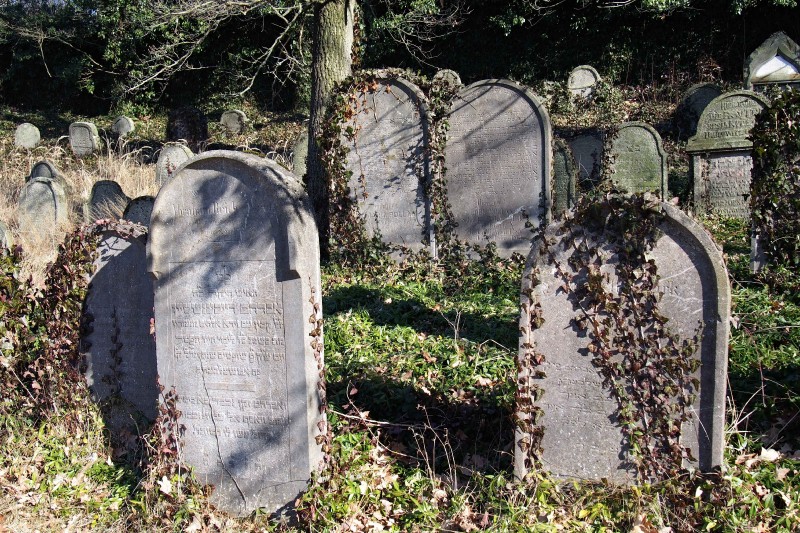 Židovský hřbitov v Kosově Hoře_79