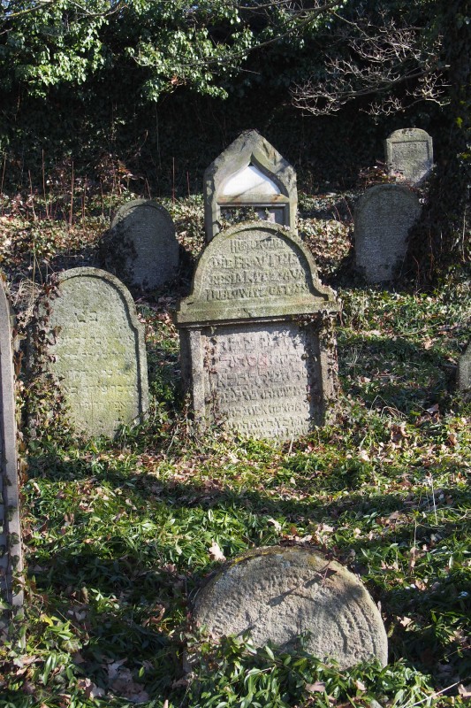 Židovský hřbitov v Kosově Hoře_87
