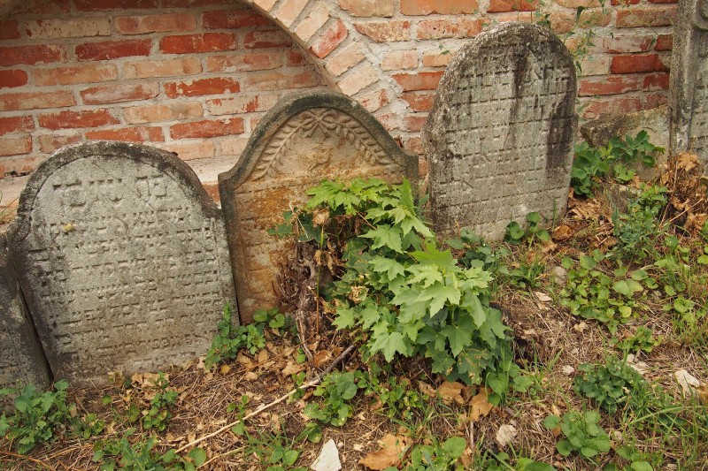 Židovský hřbitov Ivančice_28