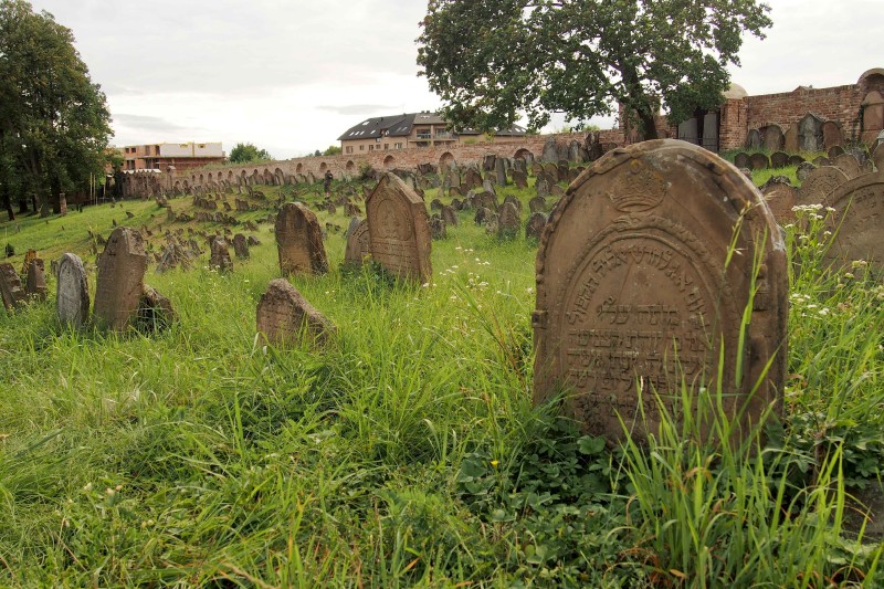 Židovský hřbitov Ivančice_48