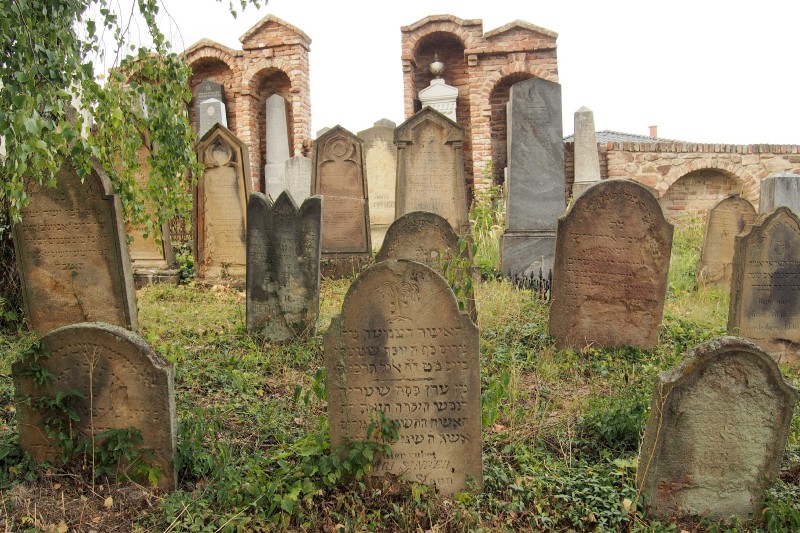 Židovský hřbitov Ivančice_59