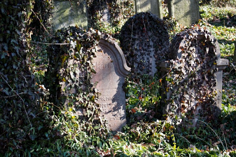 Židovský hřbitov v Kosově Hoře_81