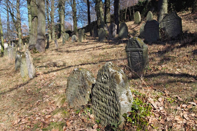 Židovský hřbitov v Kosově Hoře_92