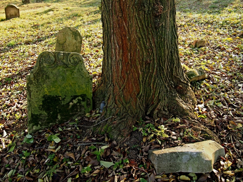 Židovský hřbitov Koryčany_32
