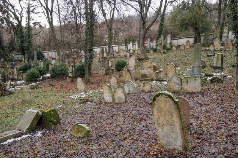 Židovský hřbitov Slavkov u Brna _17