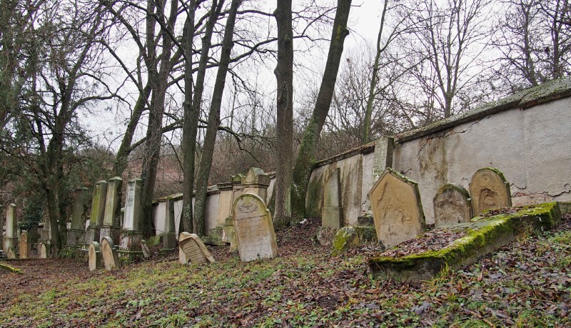 Židovský hřbitov Slavkov u Brna _33